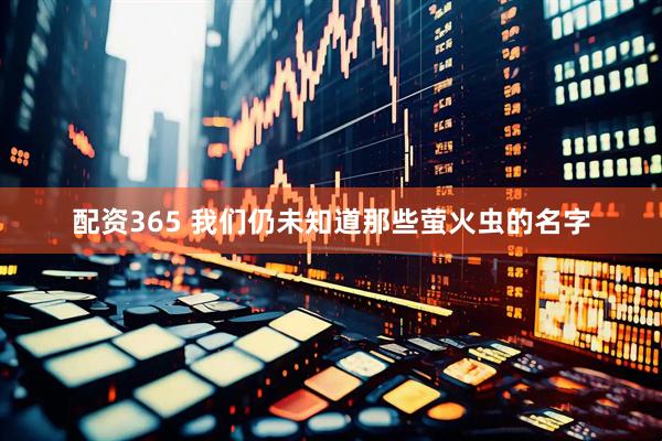 配资365 我们仍未知道那些萤火虫的名字