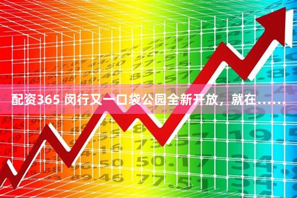 配资365 闵行又一口袋公园全新开放，就在……