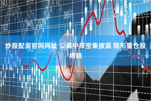 炒股配资官网网址 公募中报密集披露 隐形重仓股揭晓